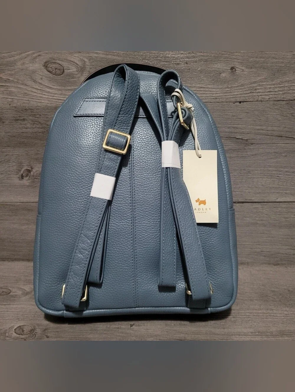 RADLEY London Merchant Hall Women's Medium Zip Around Backpack Blue